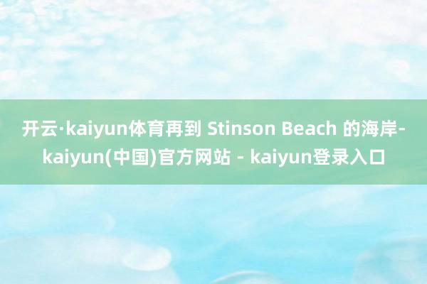 开云·kaiyun体育再到 Stinson Beach 的海岸-kaiyun(中国)官方网站 - kaiyun登录入口